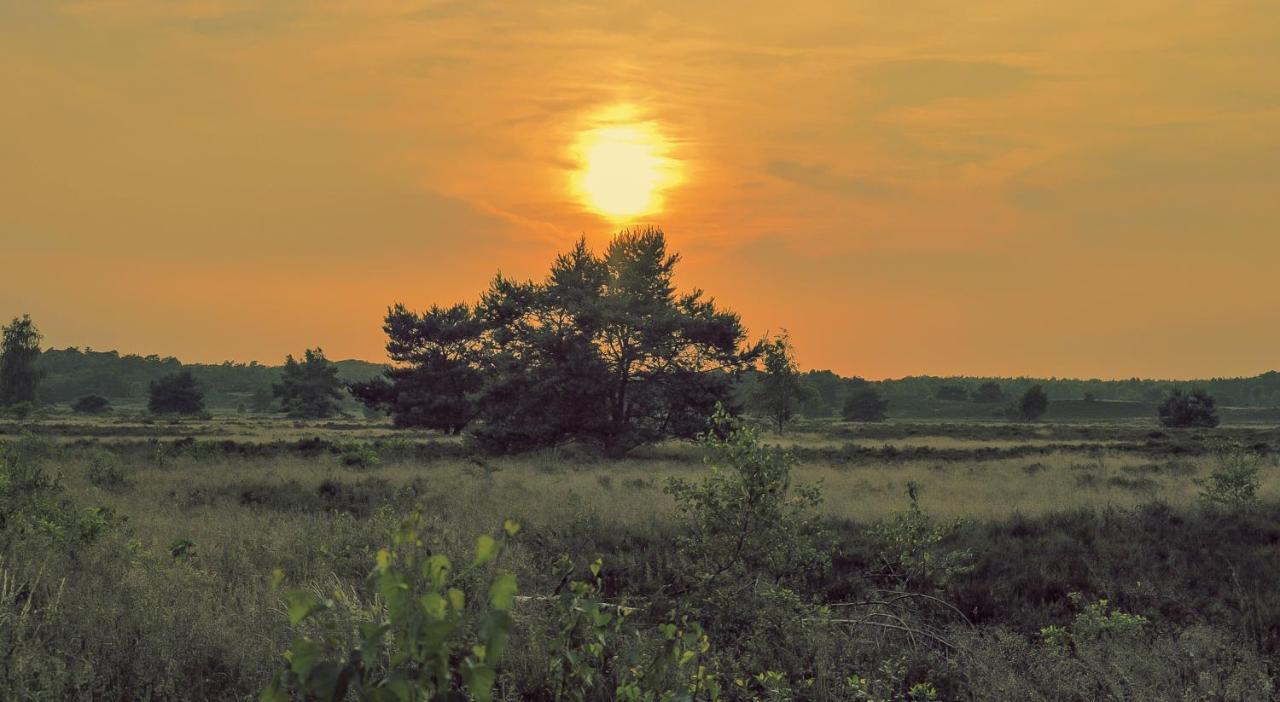 Lodge Goudvink Nunspeet Veluwe المظهر الخارجي الصورة