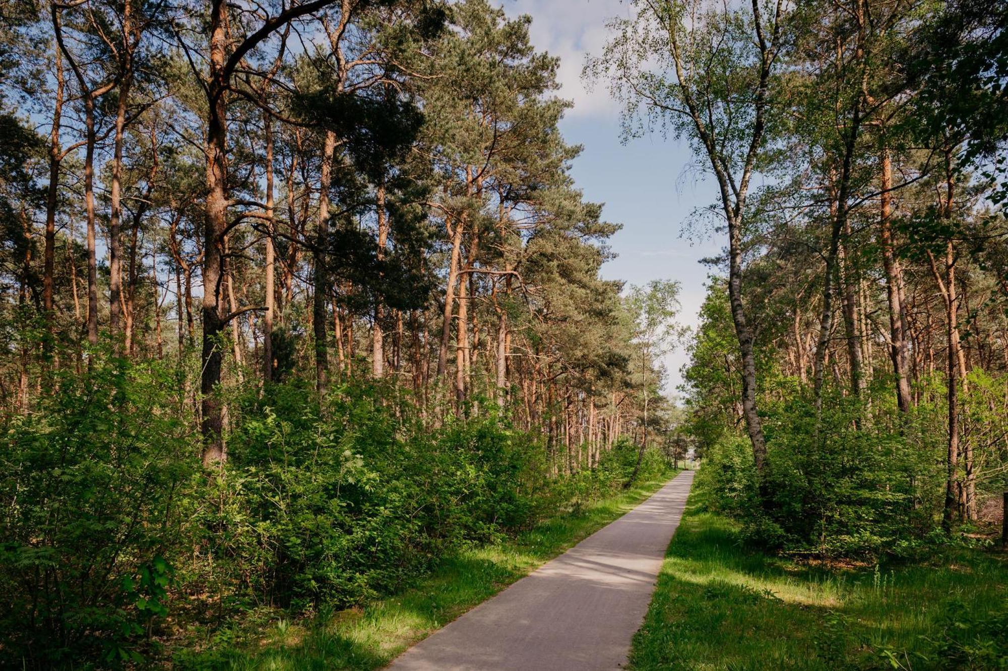 Lodge Goudvink Nunspeet Veluwe المظهر الخارجي الصورة